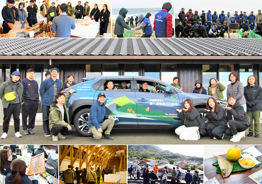 屋久島環境研修のイメージ